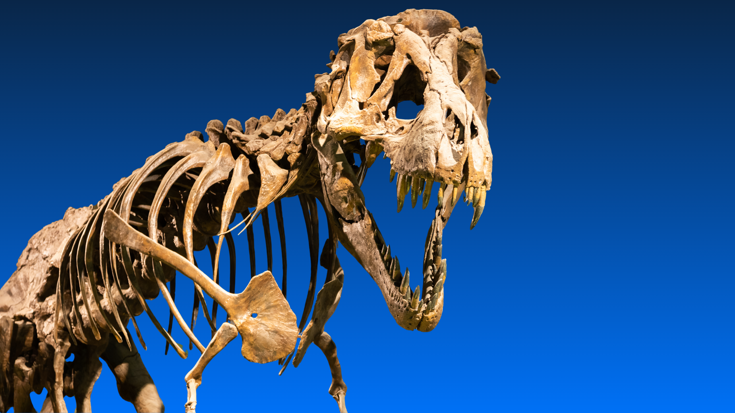 Jurassic Fraud: Digging up Long-Term Benefits Fraud